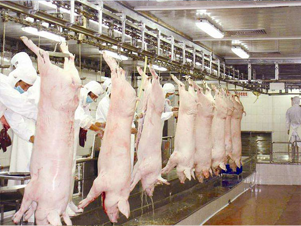 養(yǎng)殖、屠宰廢水